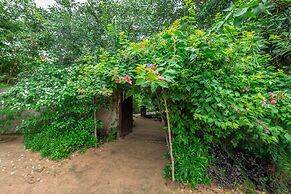 Mahua Vann Pench