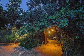 Mahua Vann Pench