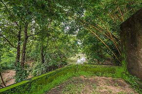 Mahua Vann Pench