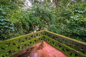 Mahua Vann Pench