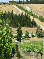 Hawkdun Rise Vineyard & Accommodation