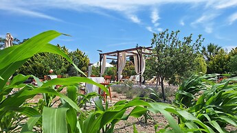 Karina Vineyard House