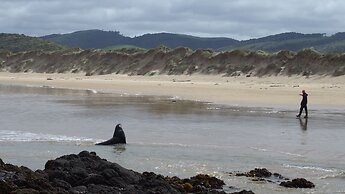 Surat Bay Lodge, Motel and Backpackers