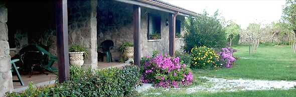 Casa da Torre