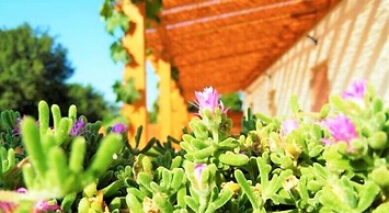 Red Rose B&B