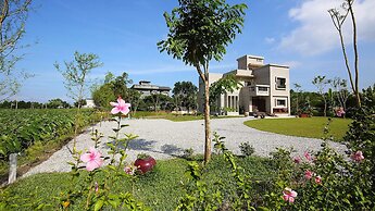 Manor Le Rayon Vert