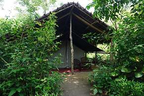 Tiger Tops Tharu Lodge