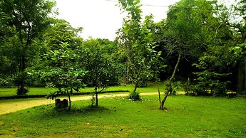 Deer Garden Guest