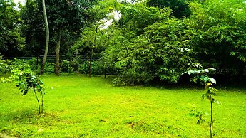 Deer Garden Guest