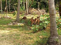 Deer Garden Guest