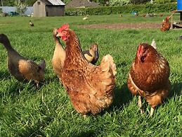 The Farm Burscough