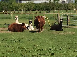 The Farm Burscough