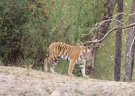 Tigertops Karnali Lodge