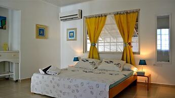 Parrot Villa