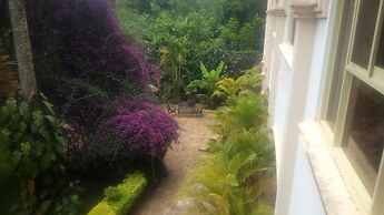 Kilimanjaro Mountain Resorts Marangu