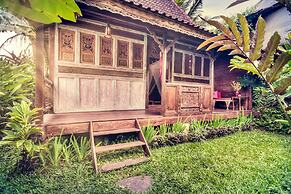 Dragonfly Village