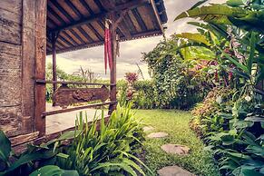 Dragonfly Village