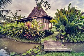 Dragonfly Village