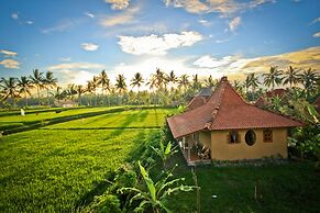 Dragonfly Village