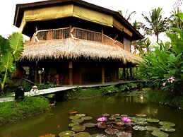 Dragonfly Village