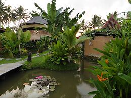 Dragonfly Village