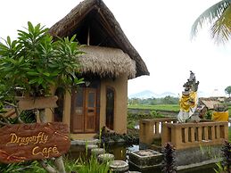 Dragonfly Village