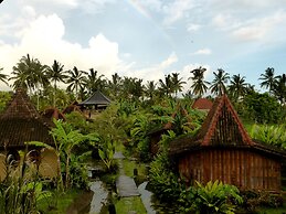 Dragonfly Village
