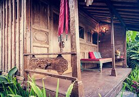 Dragonfly Village