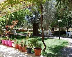 Hotel Selina
