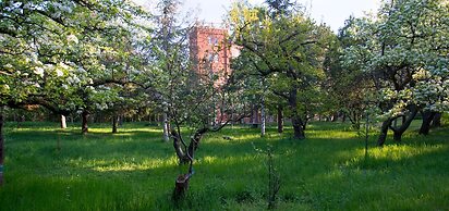 Gabrium