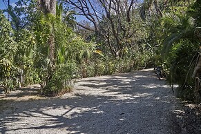 Havana Lodge
