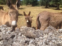 Masseria Nuove Caselle