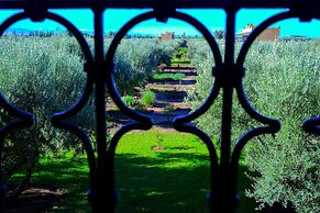 Ferme Sidi Safou