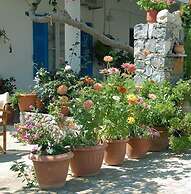 Paralia Rooms