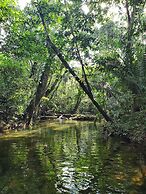 Lower Dover Jungle Lodge & Maya Ruins - Hostel