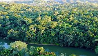 Lower Dover Jungle Lodge & Maya Ruins - Hostel