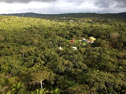 Lower Dover Jungle Lodge & Maya Ruins - Hostel