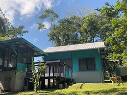 Lower Dover Jungle Lodge & Maya Ruins - Hostel