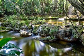 Lower Dover Jungle Lodge & Maya Ruins - Hostel