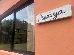 Lower Dover Jungle Lodge & Maya Ruins - Hostel