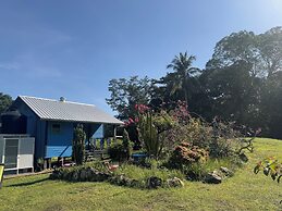 Lower Dover Jungle Lodge & Maya Ruins - Hostel