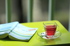 White Cat Hotel