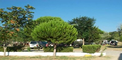 Hotel Kum