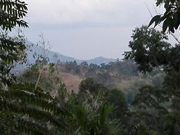 New Green View