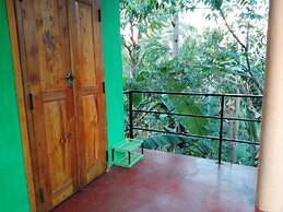 New Green View
