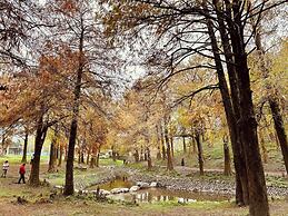 Park 61 B&B