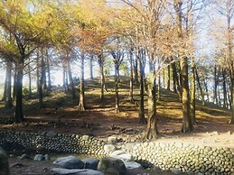 Park 61 B&B