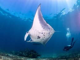 Dragon Dive Komodo Dive Resort