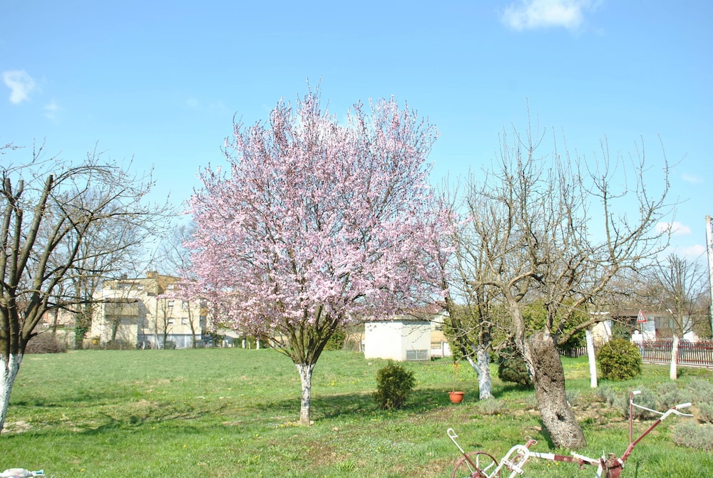 Sunčani Apartments