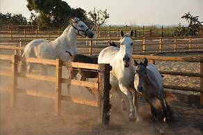 Cortijo el Indiviso